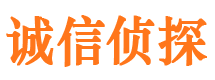 兴国市私家侦探